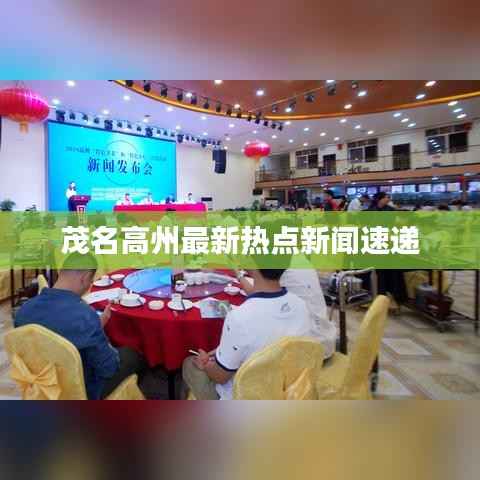 茂名高州最新热点新闻速递