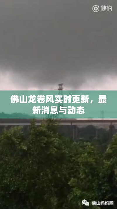 佛山龙卷风实时更新,最新消息与动态