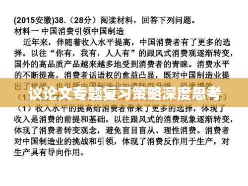议论文专题复习策略深度思考