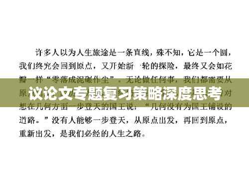 议论文专题复习策略深度思考