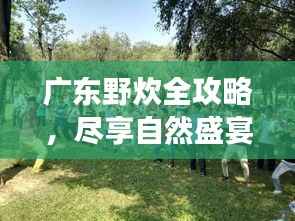 广东野炊全攻略,尽享自然盛宴,体验户外野趣之旅!