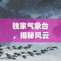 独家气象台，揭秘风云变幻背后的神秘故事
