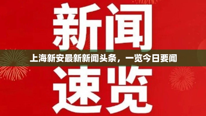 上海新安最新新闻头条，一览今日要闻