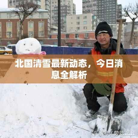 北国清雪最新动态，今日消息全解析