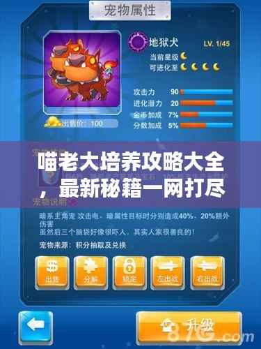 喵老大培养攻略大全，最新秘籍一网打尽！