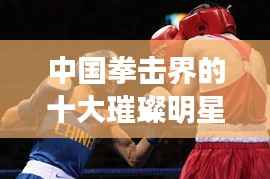 中国拳击界的十大璀璨明星闪耀榜单,排名前十名将引领拳击新时代!