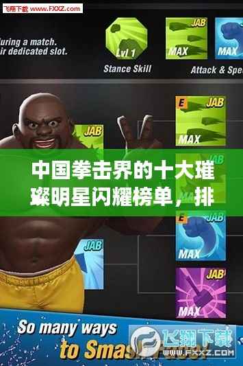 中国拳击界的十大璀璨明星闪耀榜单,排名前十名将引领拳击新时代!