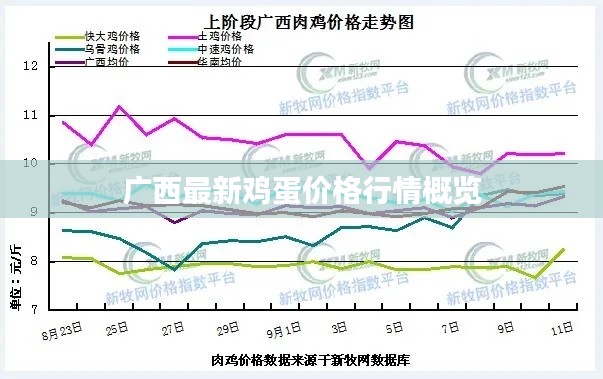 广西最新鸡蛋价格行情概览
