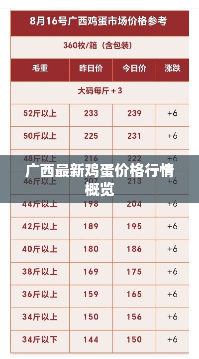 广西最新鸡蛋价格行情概览