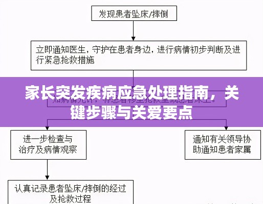 家长突发疾病应急处理指南，关键步骤与关爱要点