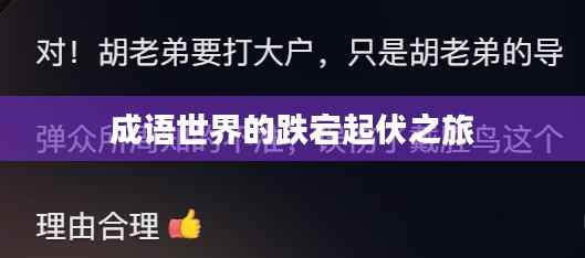 成语世界的跌宕起伏之旅