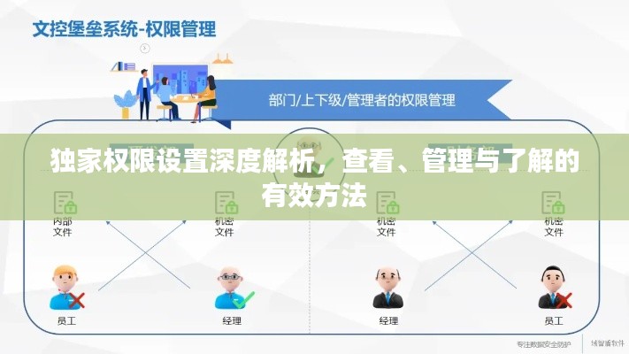独家权限设置深度解析，查看、管理与了解的有效方法