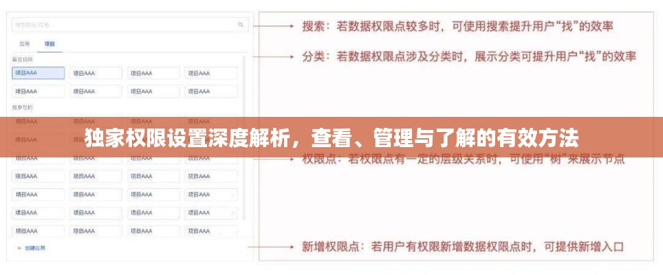 独家权限设置深度解析,查看、管理与了解的有效方法