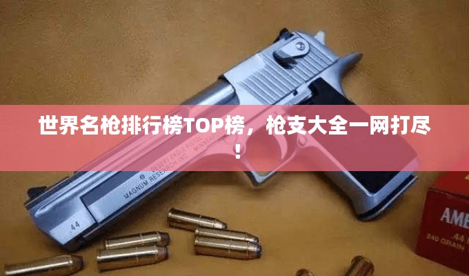 世界名枪排行榜TOP榜，枪支大全一网打尽！