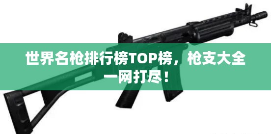 世界名枪排行榜TOP榜,枪支大全一网打尽!