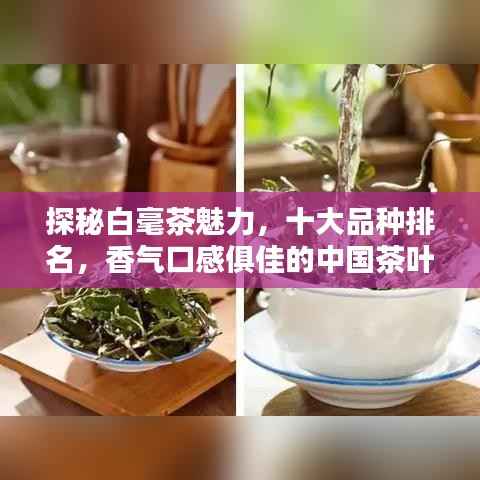 探秘白毫茶魅力，十大品种排名，香气口感俱佳的中国茶叶之选