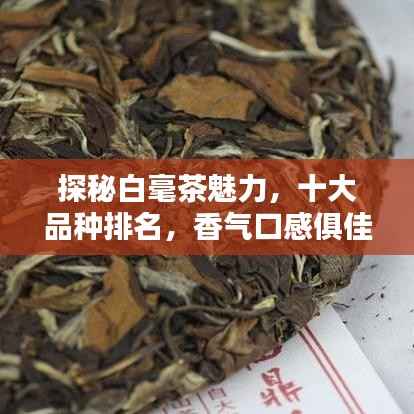 探秘白毫茶魅力,十大品种排名,香气口感俱佳的中国茶叶之选