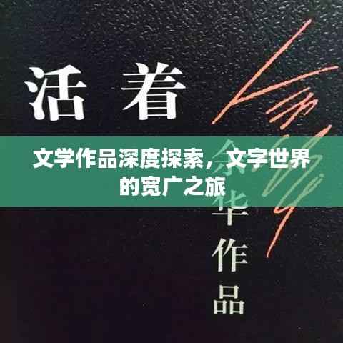 文学作品深度探索，文字世界的宽广之旅