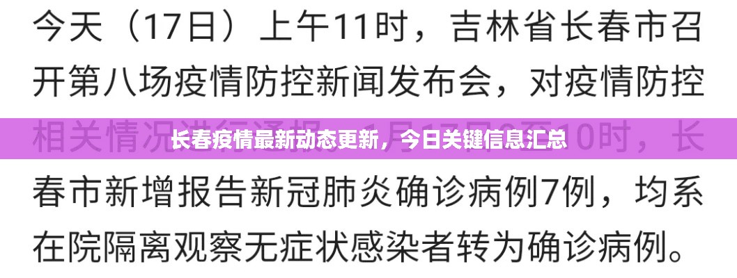 长春疫情最新动态更新，今日关键信息汇总