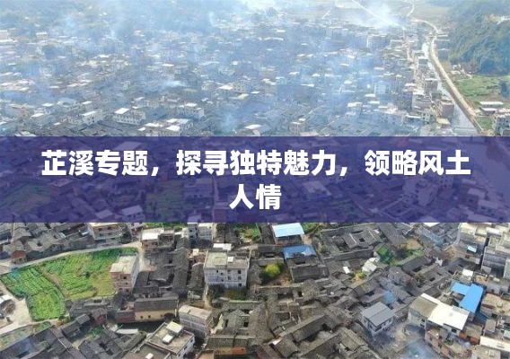 芷溪专题，探寻独特魅力，领略风土人情