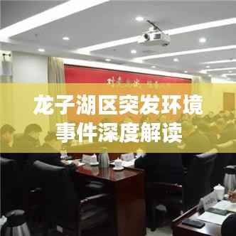 龙子湖区突发环境事件深度解读