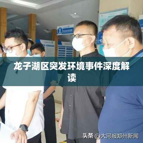 龙子湖区突发环境事件深度解读