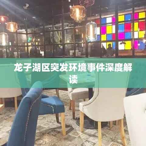 龙子湖区突发环境事件深度解读