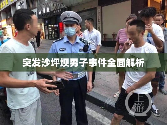 突发沙坪坝男子事件全面解析
