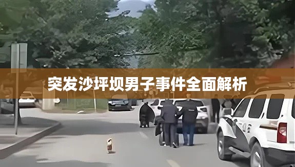 突发沙坪坝男子事件全面解析