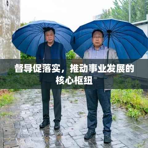 督导促落实，推动事业发展的核心枢纽