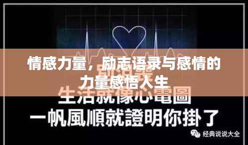 情感力量，励志语录与感情的力量感悟人生