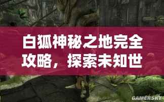 白狐神秘之地完全攻略，探索未知世界的指南