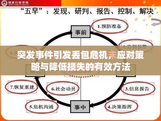 突发事件引发丢包危机，应对策略与降低损失的有效方法