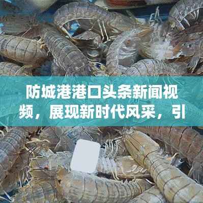 防城港港口头条新闻视频，展现新时代风采，引领港口蓬勃发展