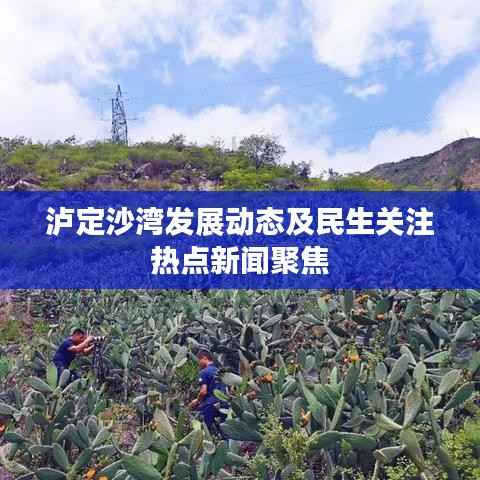 泸定沙湾发展动态及民生关注热点新闻聚焦