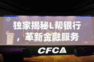 独家揭秘L帮银行,革新金融服务的行业先锋