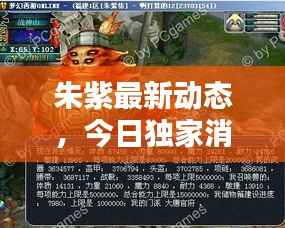 朱紫最新动态,今日独家消息揭秘