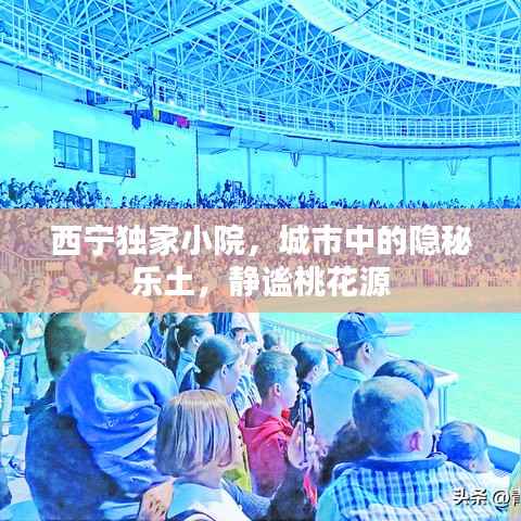 西宁独家小院,城市中的隐秘乐土,静谧桃花源