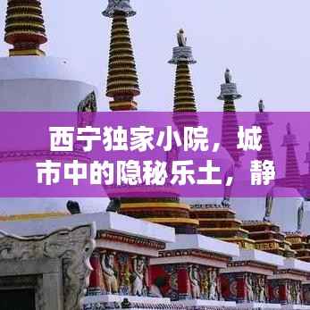 西宁独家小院,城市中的隐秘乐土,静谧桃花源