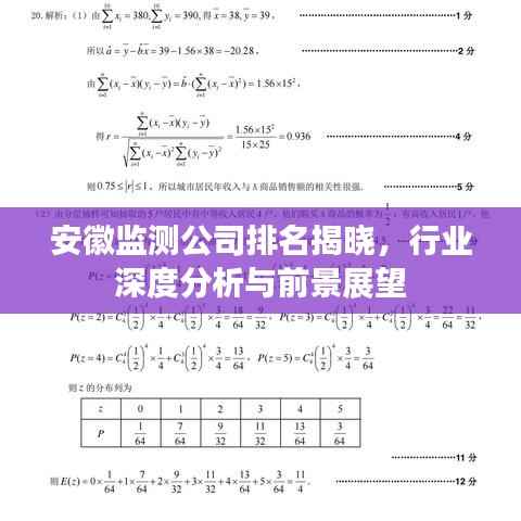 安徽监测公司排名揭晓,行业深度分析与前景展望
