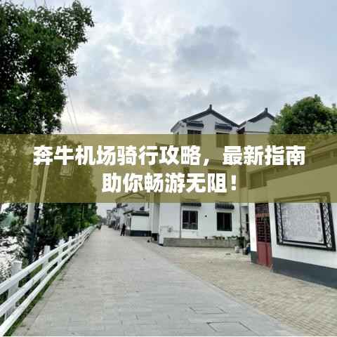 奔牛机场骑行攻略，最新指南助你畅游无阻！