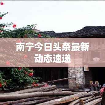 南宁今日头条最新动态速递