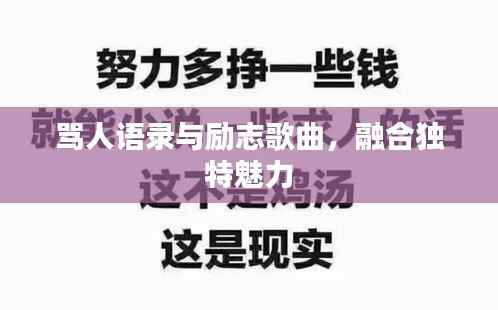 骂人语录与励志歌曲,融合独特魅力