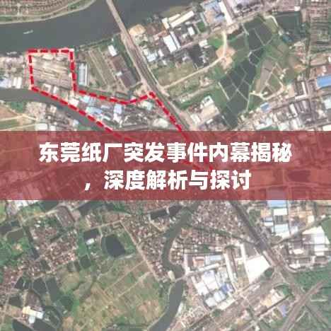 东莞纸厂突发事件内幕揭秘，深度解析与探讨