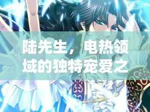 陆先生，电热领域的独特宠爱之道