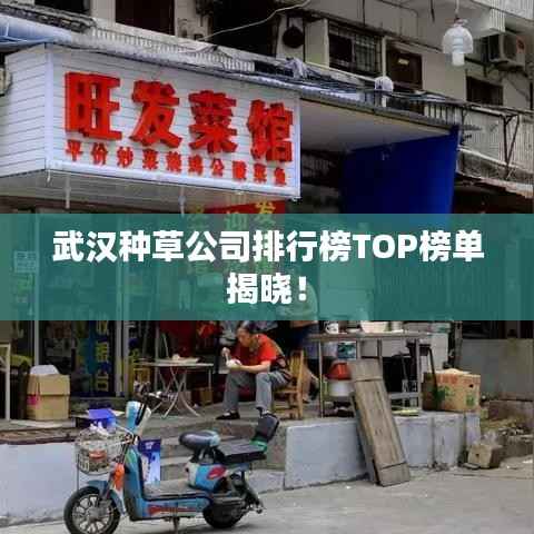 武汉种草公司排行榜TOP榜单揭晓！