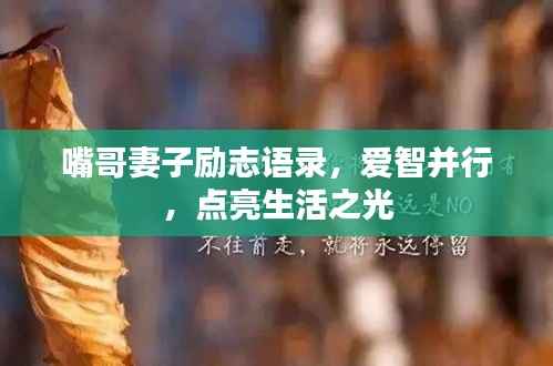 嘴哥妻子励志语录，爱智并行，点亮生活之光