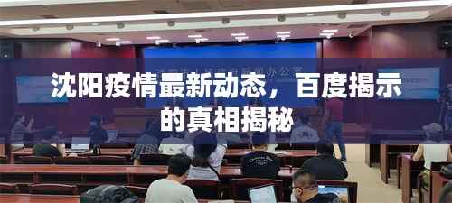 沈阳疫情最新动态，百度揭示的真相揭秘
