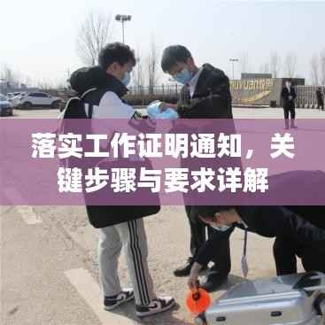 落实工作证明通知,关键步骤与要求详解
