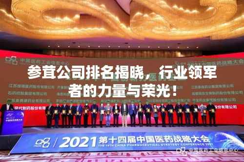 参茸公司排名揭晓,行业领军者的力量与荣光!